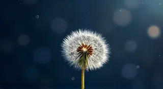 Ephemeral Bloom: Capturing the Transient Beauty of Nebulae
